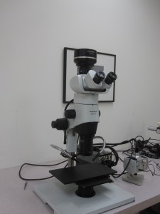 Olympus SZX16 stereo microscope with digital camera.