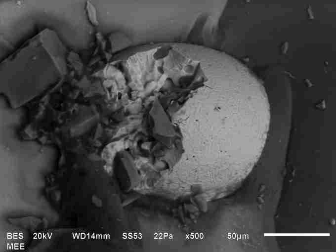 SEM image of nickel sulfide inclusion 