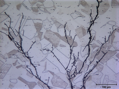 Transgranular Crack Profile In Microstructure  