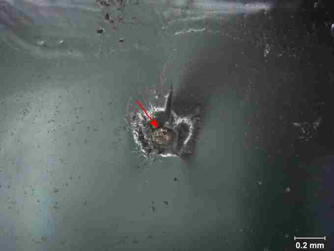 Nickel sulfide inclusion 